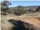 356 Warrys Road, Bathurst NSW 2795
