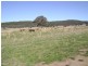 0 Sutherland Road, Koorawatha NSW 2807