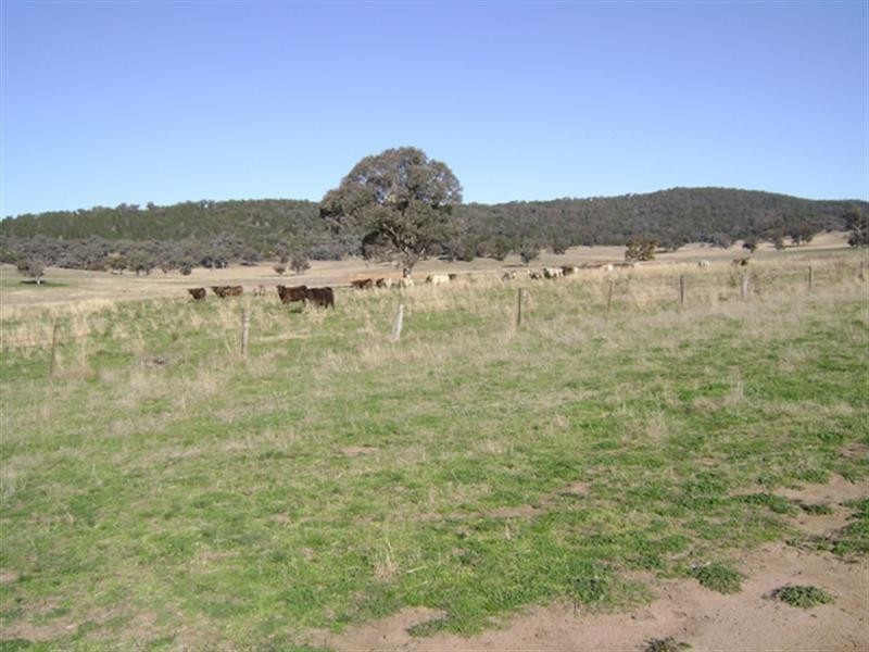 0 Sutherland Road, Koorawatha NSW 2807