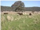 0 Sutherland Road, Koorawatha NSW 2807