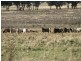 0 Sutherland Road, Koorawatha NSW 2807