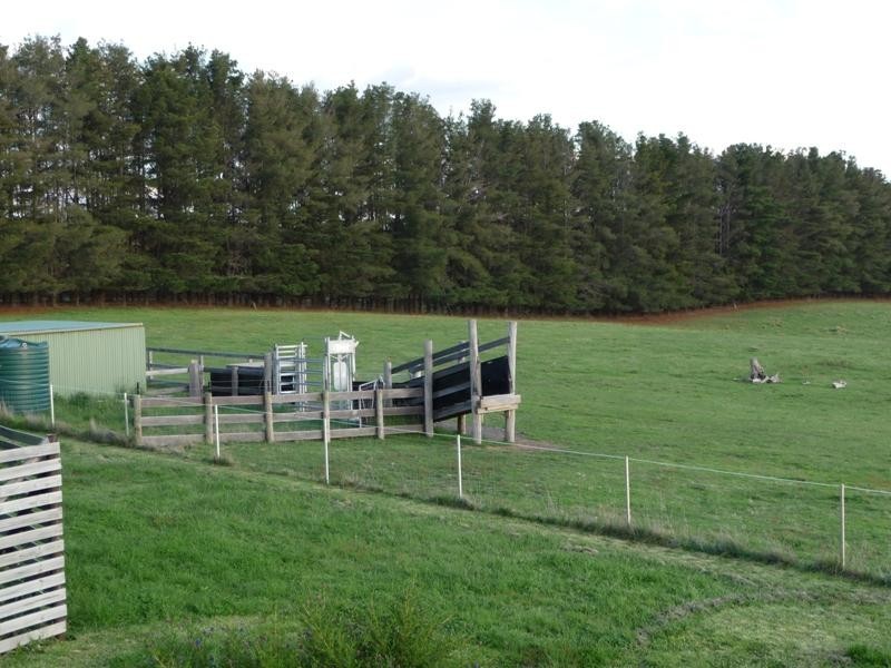 335 Razorback Road, Mudgee NSW 2850