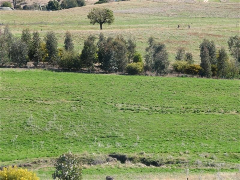 656 Mount McDonald Road, Wyangala NSW 2808