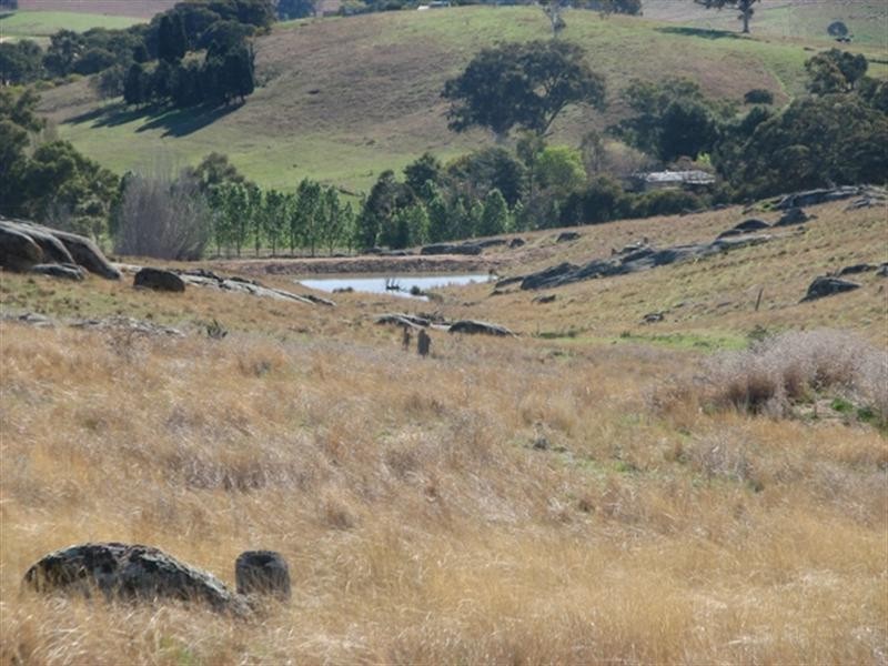 656 Mount McDonald Road, Wyangala NSW 2808