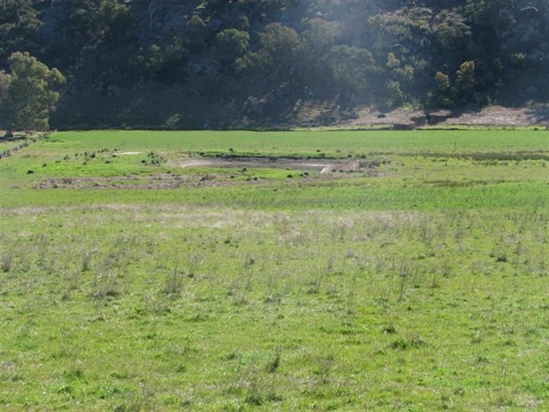 656 Mount McDonald Road, Wyangala NSW 2808