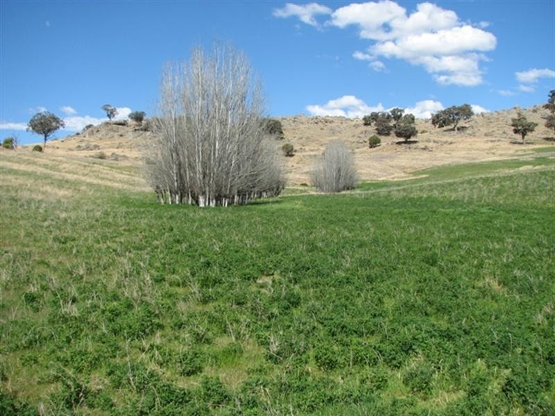 656 Mount McDonald Road, Wyangala NSW 2808