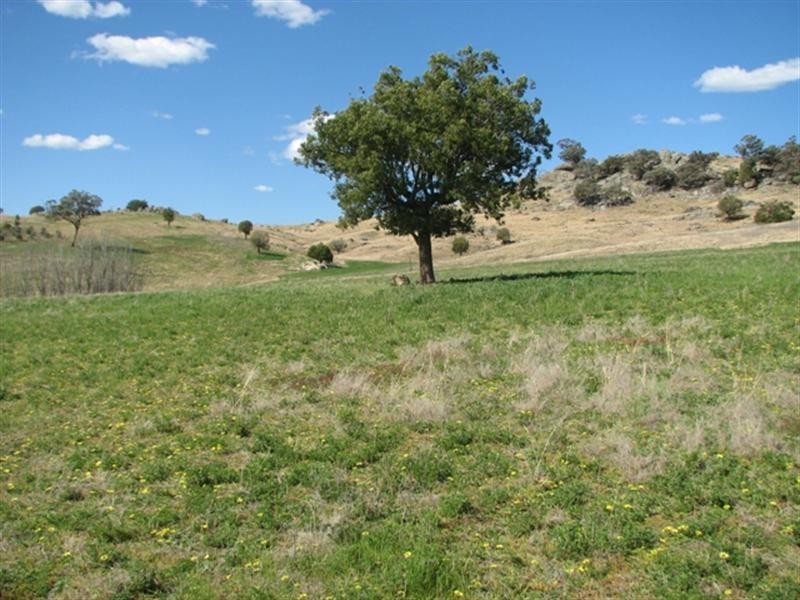 656 Mount McDonald Road, Wyangala NSW 2808