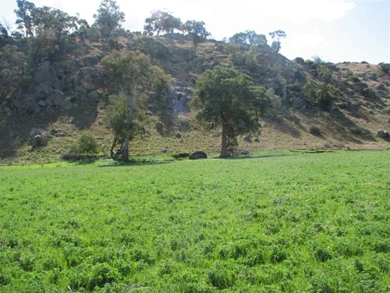 656 Mount McDonald Road, Wyangala NSW 2808