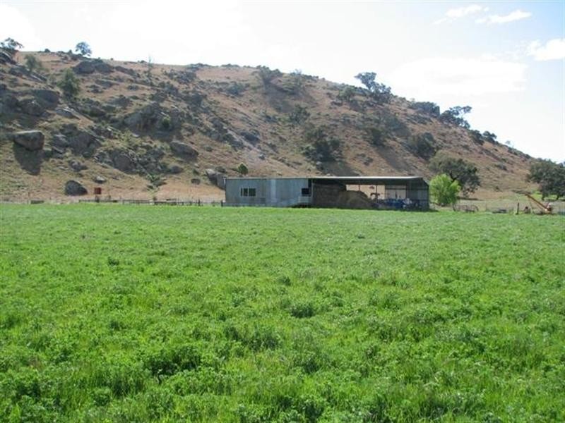 656 Mount McDonald Road, Cowra NSW 2794