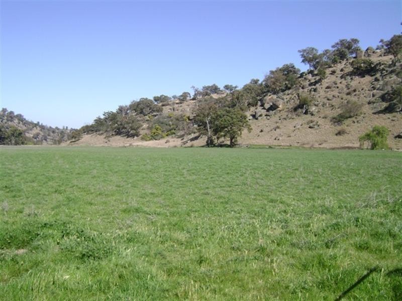 656 Mount McDonald Road, Cowra NSW 2794