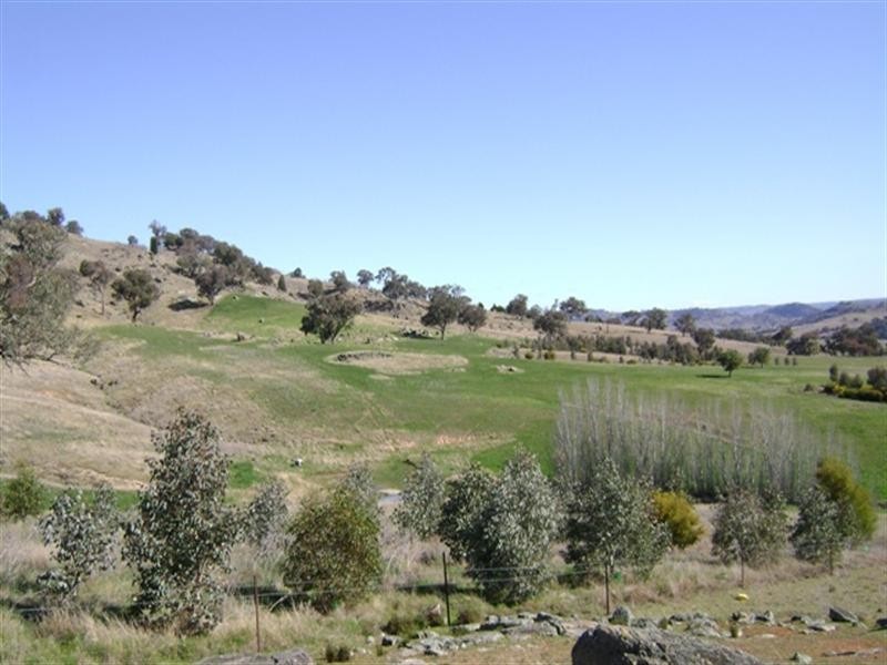 656 Mount McDonald Road, Cowra NSW 2794