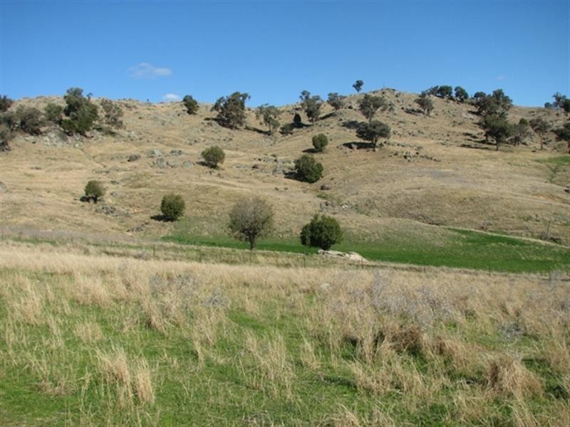 656 Mount McDonald Road, Cowra NSW 2794