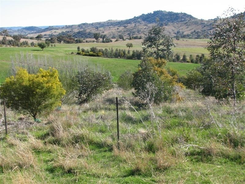 656 Mount McDonald Road, Cowra NSW 2794