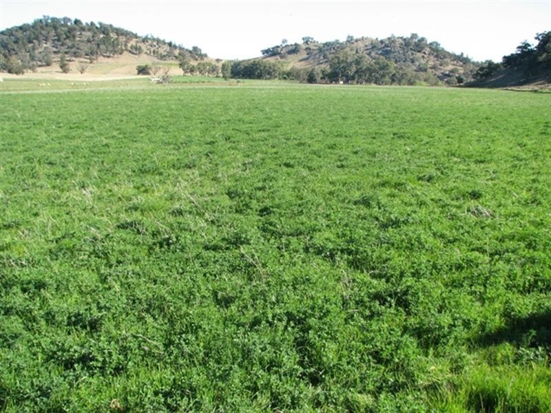 656 Mount McDonald Road, Cowra NSW 2794