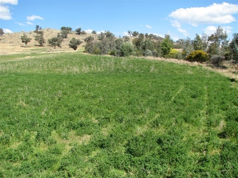 656 Mount McDonald Road, Cowra NSW 2794