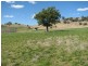 656 Mount McDonald Road, Cowra NSW 2794