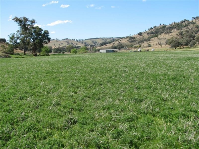 656 Mount McDonald Road, Cowra NSW 2794