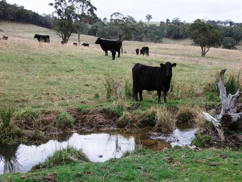 1091 Hazelgrove Road, Oberon NSW 2787