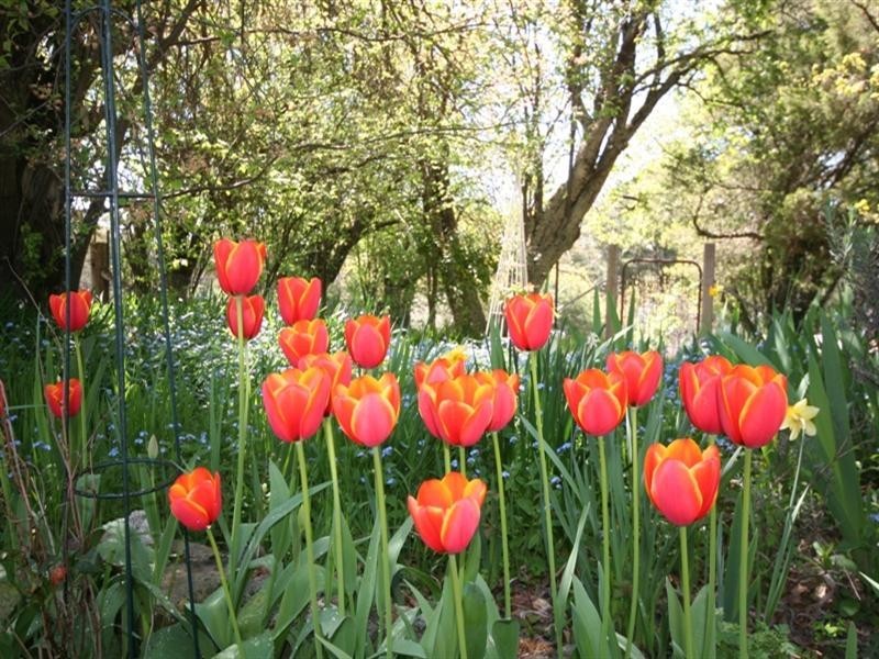 1091 Hazelgrove Road, Oberon NSW 2787