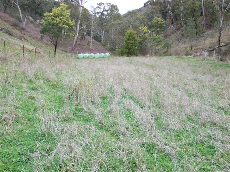 1091 Hazelgrove Road, Oberon NSW 2787