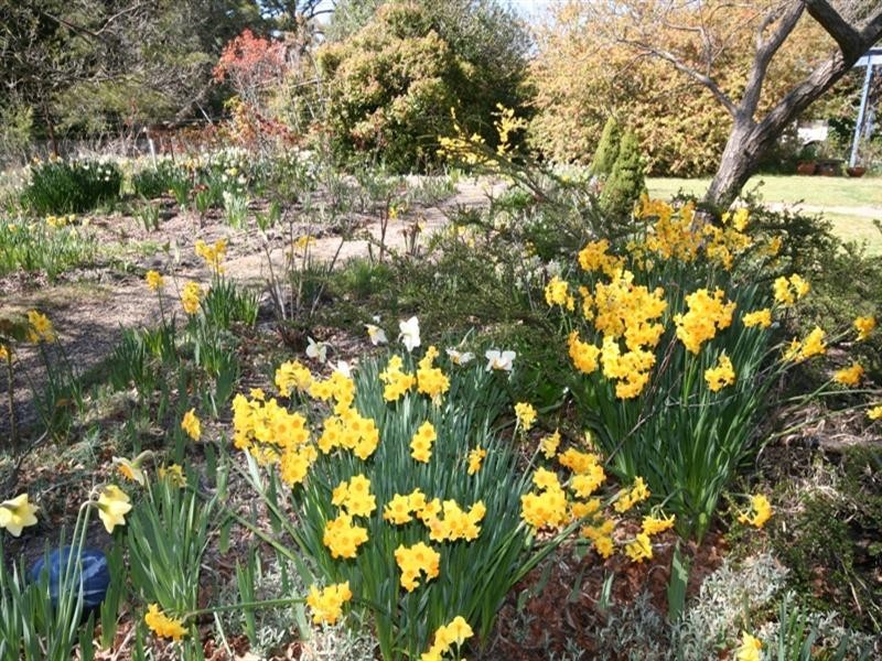 1091 Hazelgrove Road, Oberon NSW 2787