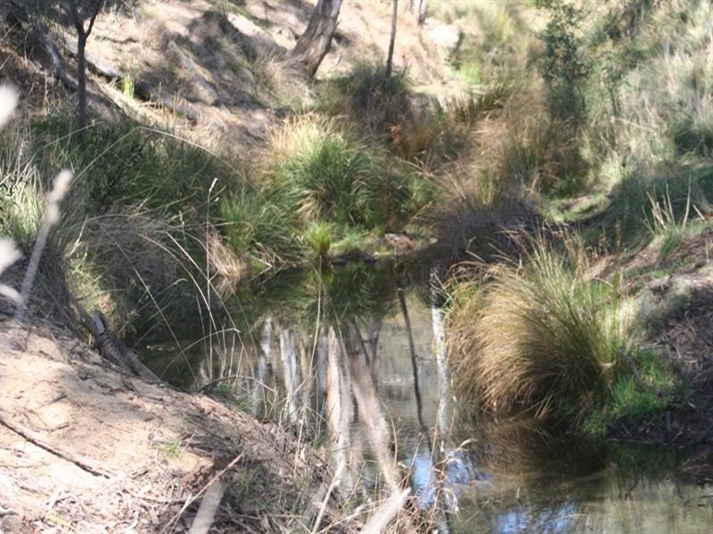 1091 Hazelgrove Road, Oberon NSW 2787