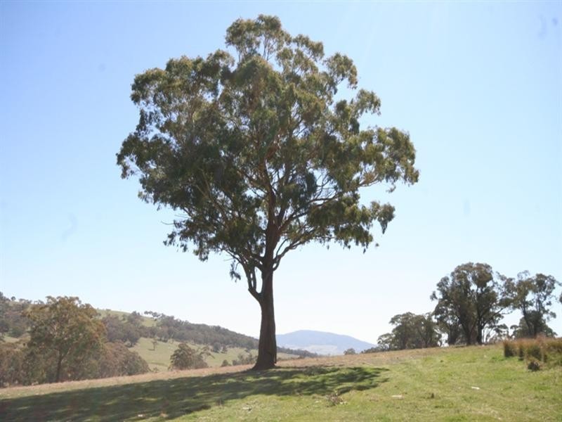 1091 Hazelgrove Road, Oberon NSW 2787