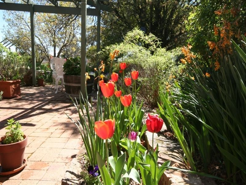 1091 Hazelgrove Road, Oberon NSW 2787