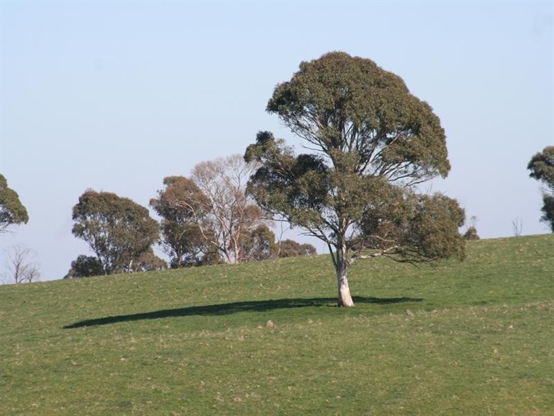 1212 Abercrombie Road, Oberon NSW 2787