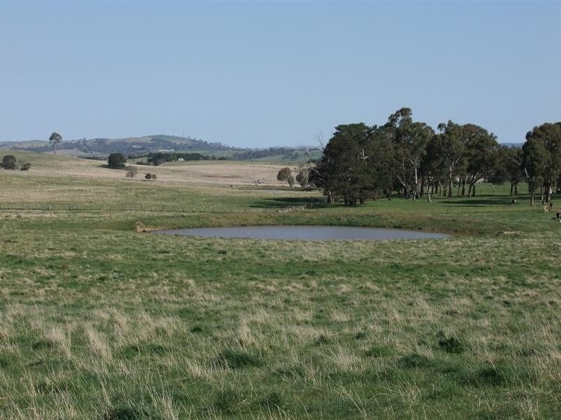 287 Wombiana Lane, Blayney NSW 2799