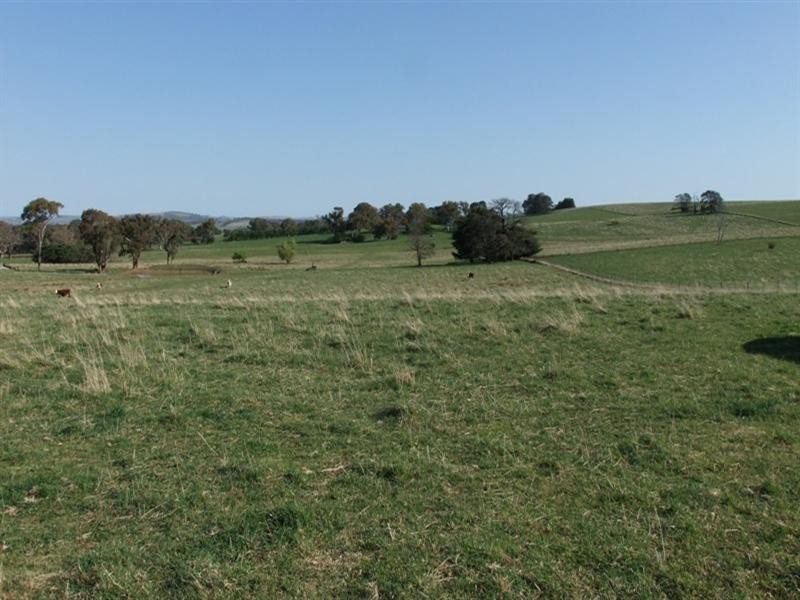 287 Wombiana Lane, Blayney NSW 2799