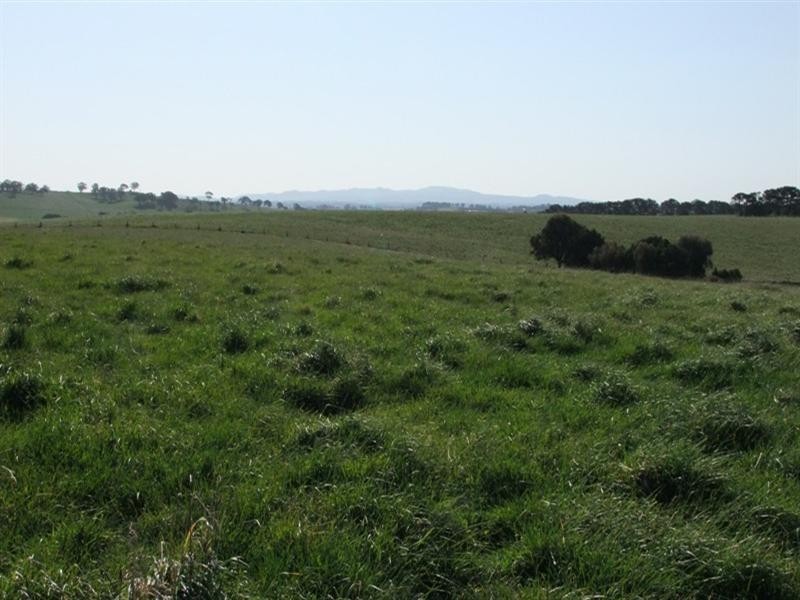 287 Wombiana Lane, Blayney NSW 2799