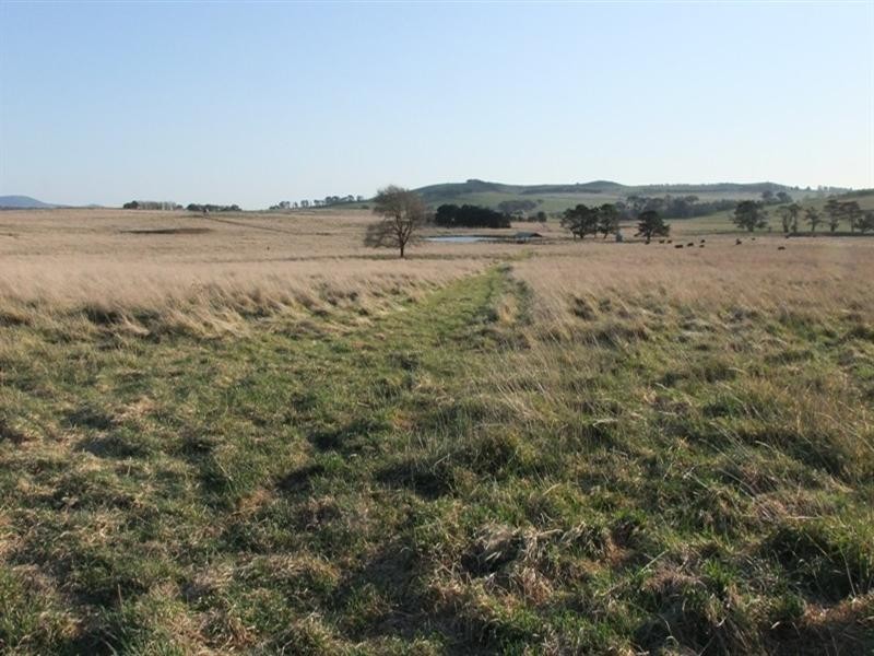 287 Wombiana Lane, Blayney NSW 2799