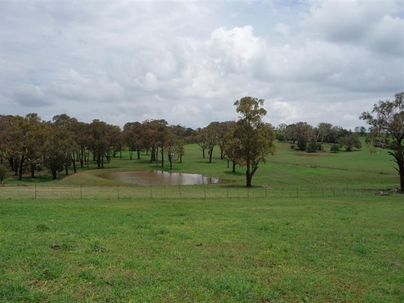 287 Wombiana Lane, Blayney NSW 2799