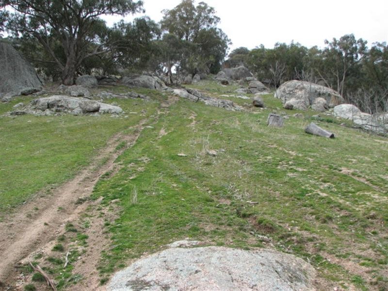 95.3ha Mt McDonald Road, Darbys Falls NSW 2793