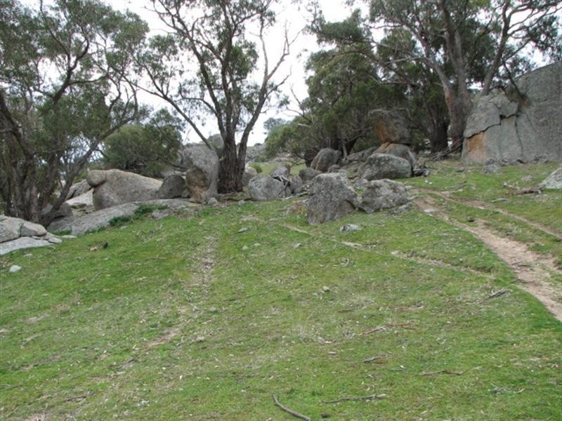 95.3ha Mt McDonald Road, Darbys Falls NSW 2793