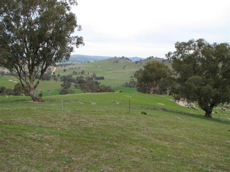 95.3ha Mt McDonald Road, Darbys Falls NSW 2793