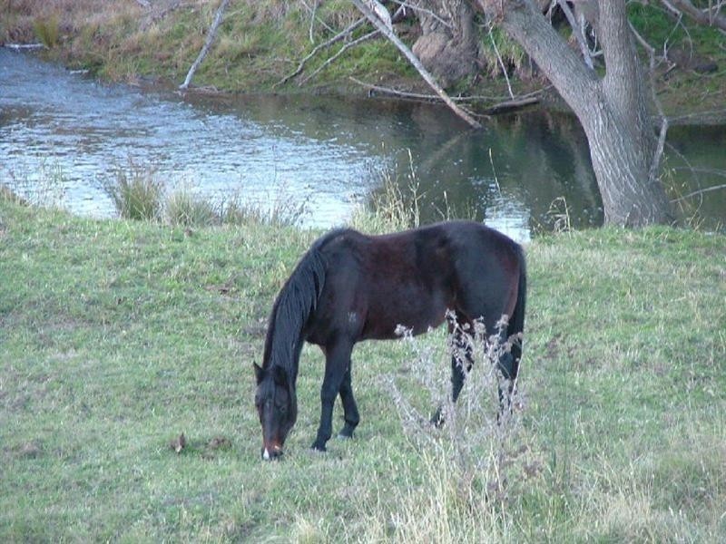 2885 Tarana Road, Tarana NSW 2787