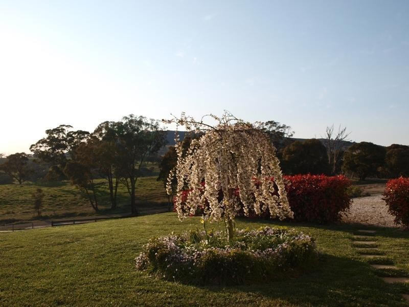 182 Mount Macquarie Road, Blayney NSW 2799