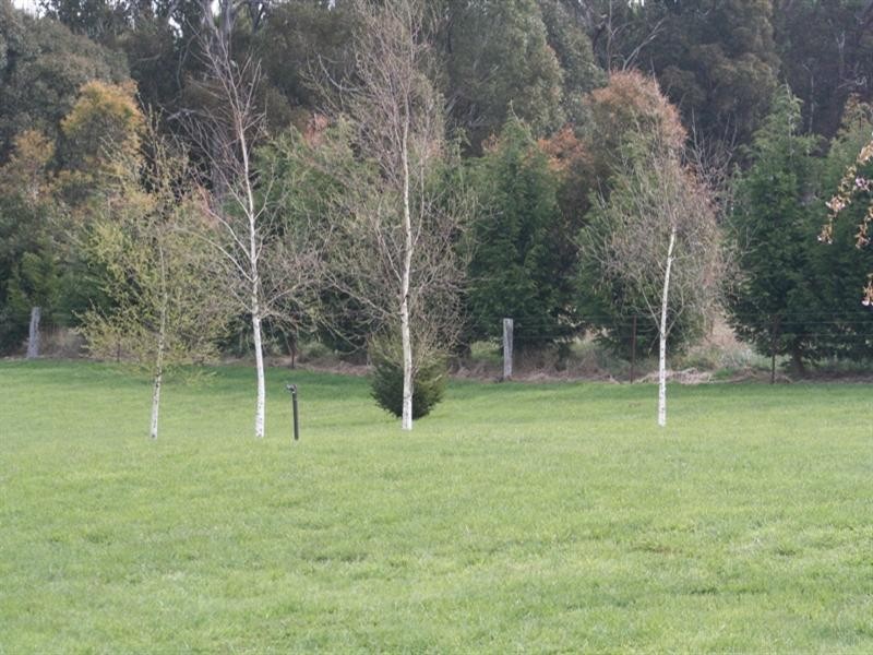 128 Butterfactory Lane, Oberon NSW 2787
