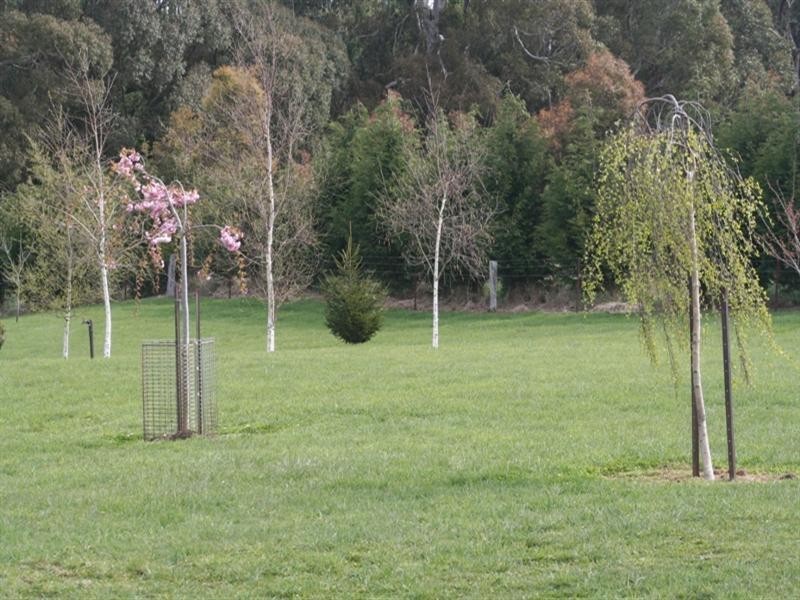 128 Butterfactory Lane, Oberon NSW 2787