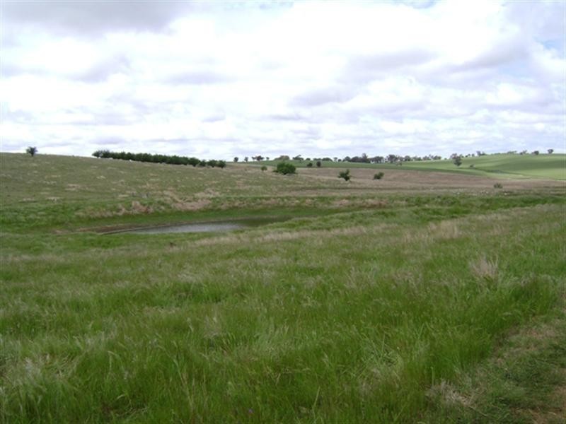 179 Wirrimah Road, Wirrimah NSW 2803