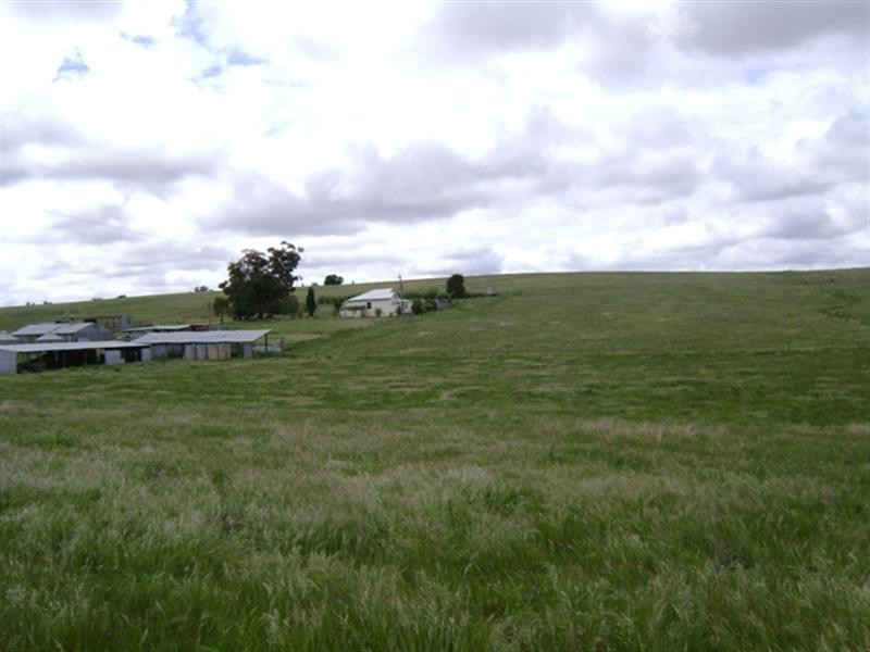179 Wirrimah Road, Wirrimah NSW 2803