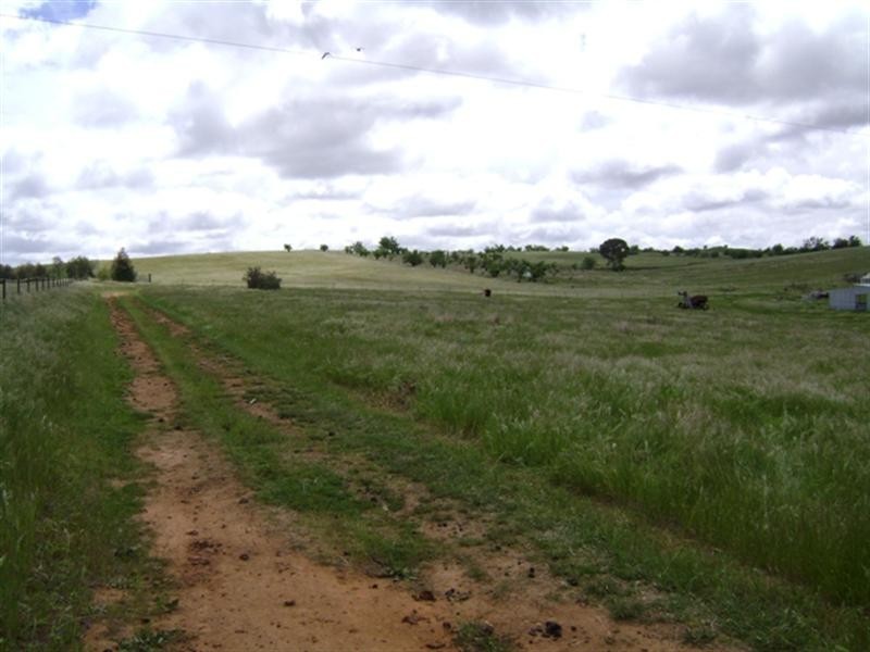 179 Wirrimah Road, Wirrimah NSW 2803