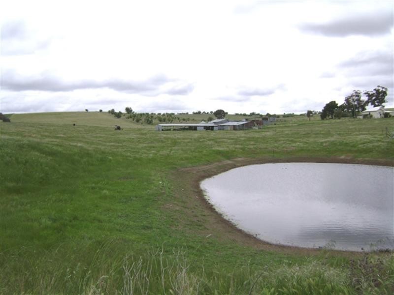 179 Wirrimah Road, Wirrimah NSW 2803