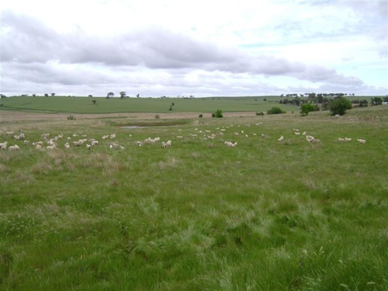 179 Wirrimah Road, Wirrimah NSW 2803