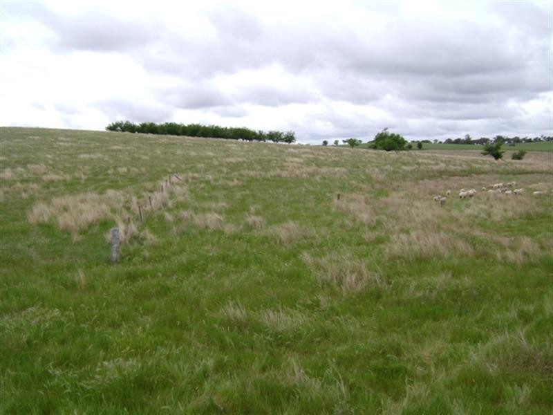 179 Wirrimah Road, Wirrimah NSW 2803