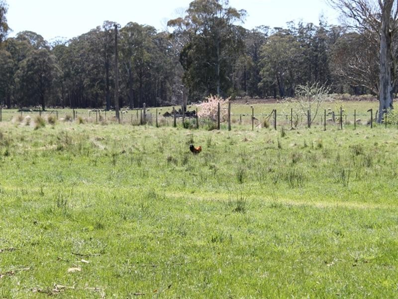 93 Tuglow Road, Gingkin NSW 2787