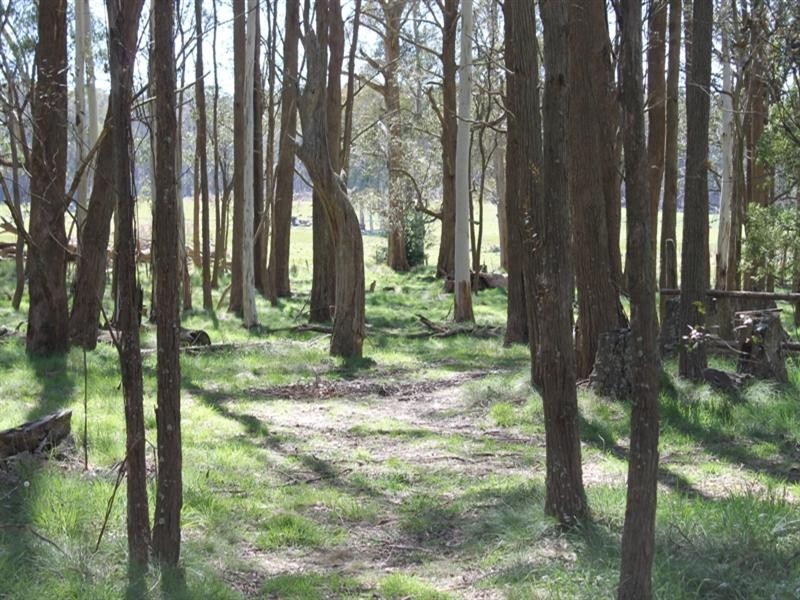 93 Tuglow Road, Gingkin NSW 2787