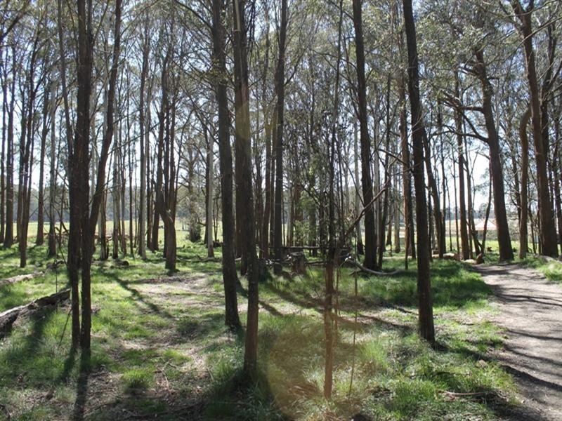 93 Tuglow Road, Gingkin NSW 2787